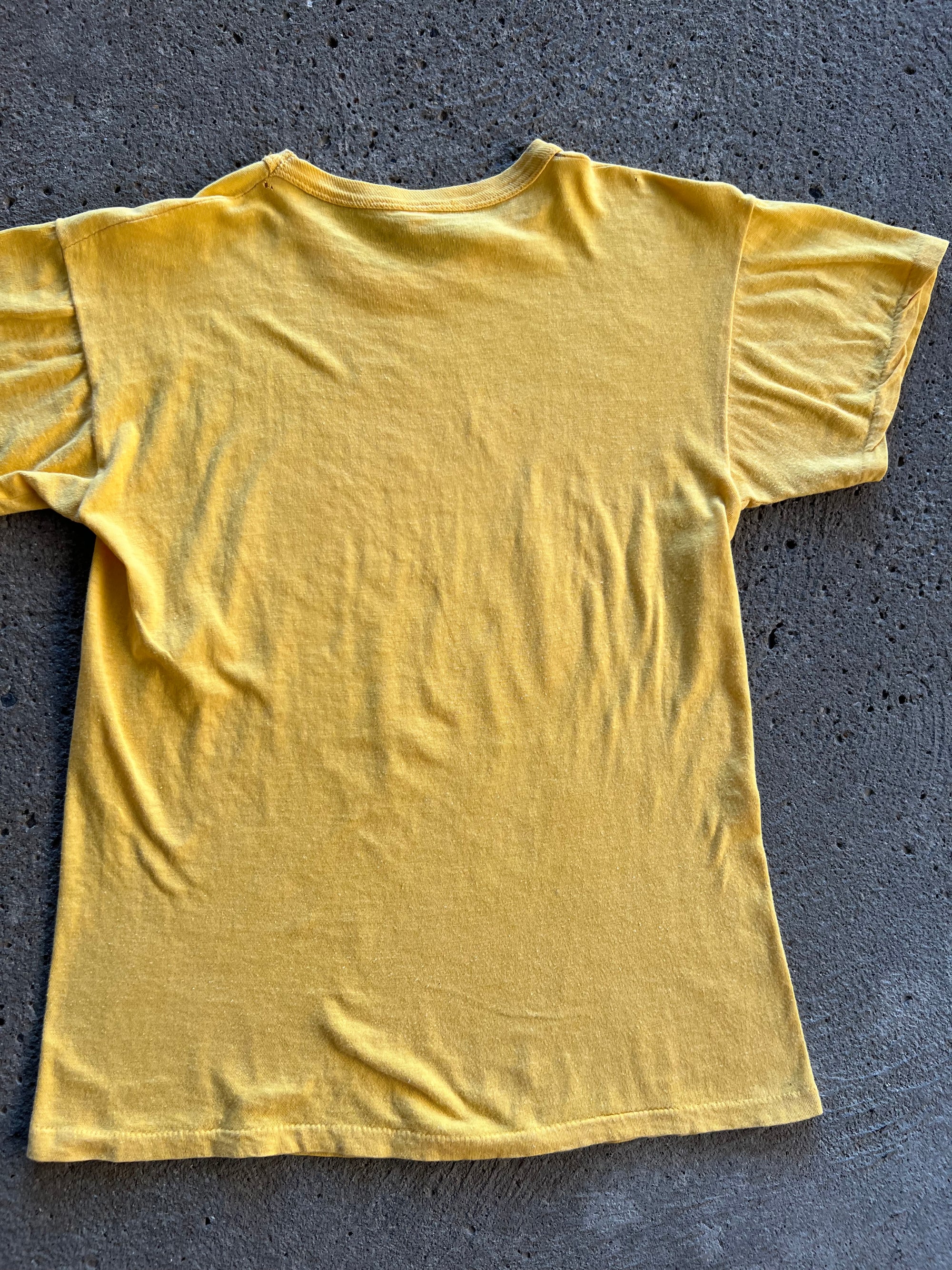 1970s Pink Floyd Novis Ordo Seclorum Shirt XS
