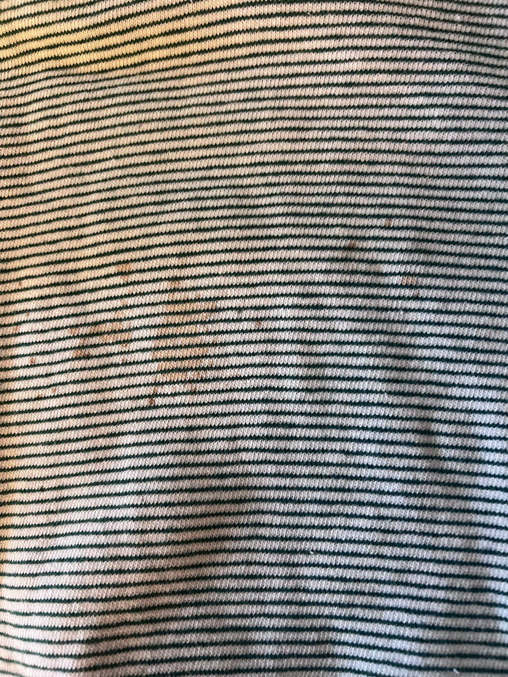 1960s Geibel Gators Striped Short Sleeve Sweatshirt XL