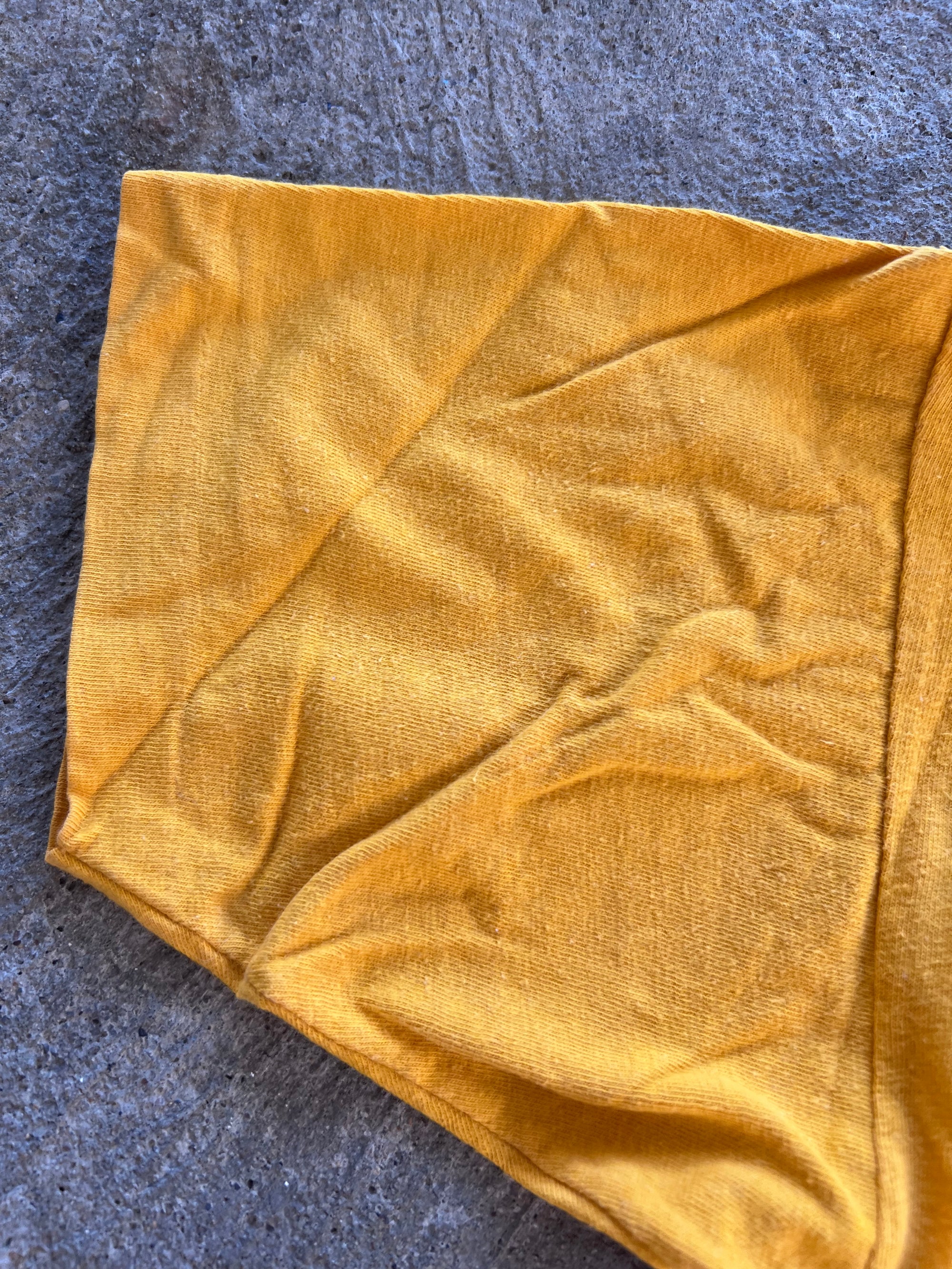 1970s Champion Pitt Panther Country Shirt Medium