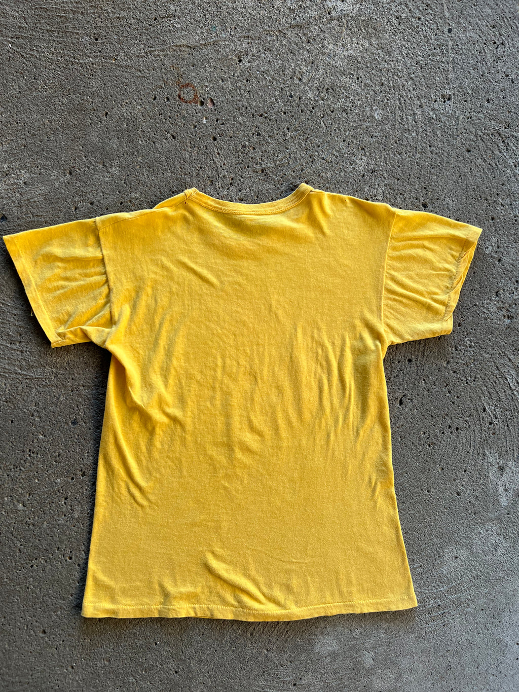 1970s Pink Floyd Novis Ordo Seclorum Shirt XS