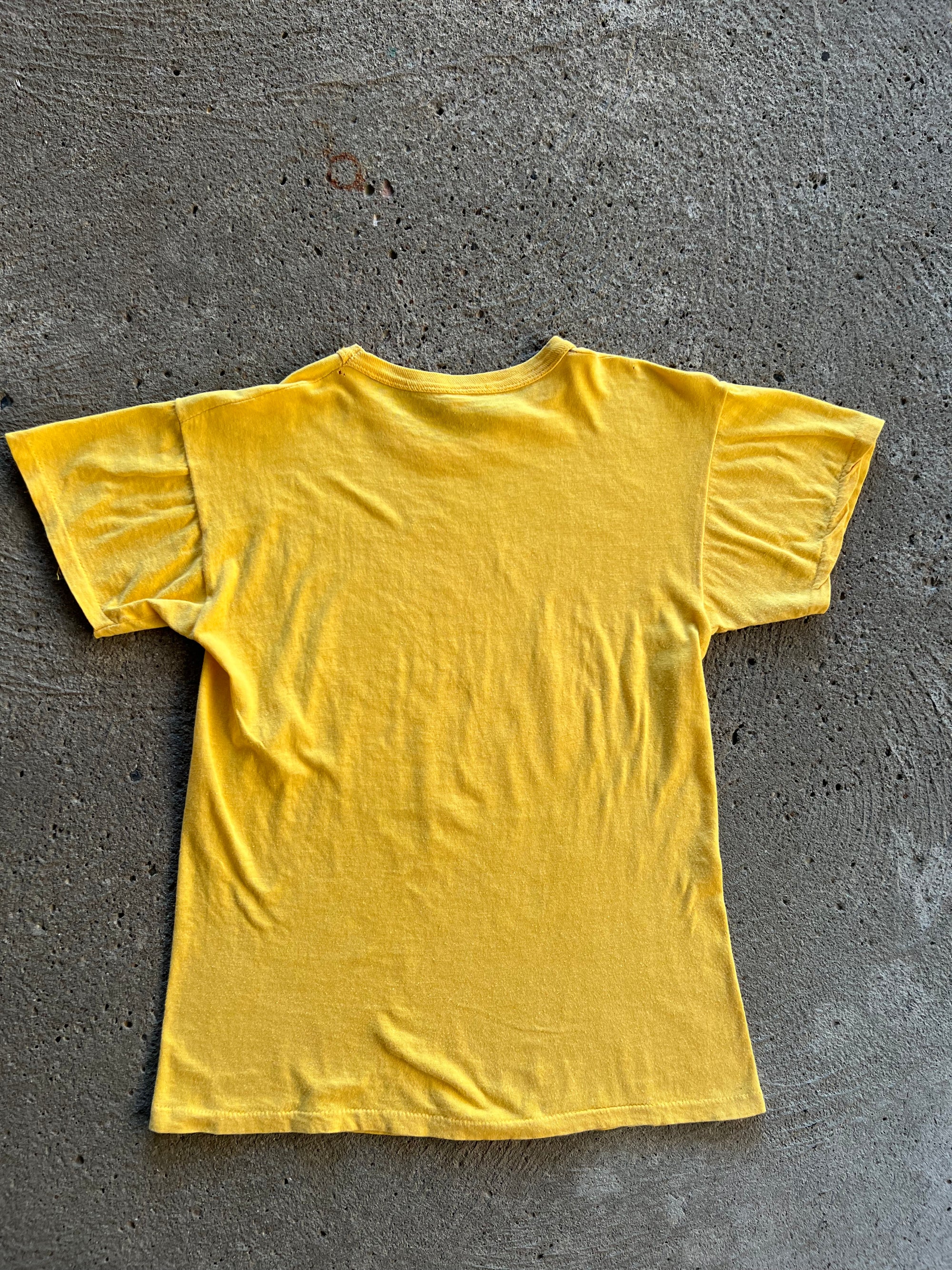 1970s Pink Floyd Novis Ordo Seclorum Shirt XS