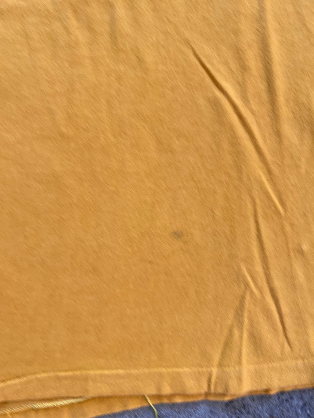 1970s Champion Pitt Panther Country Shirt Medium