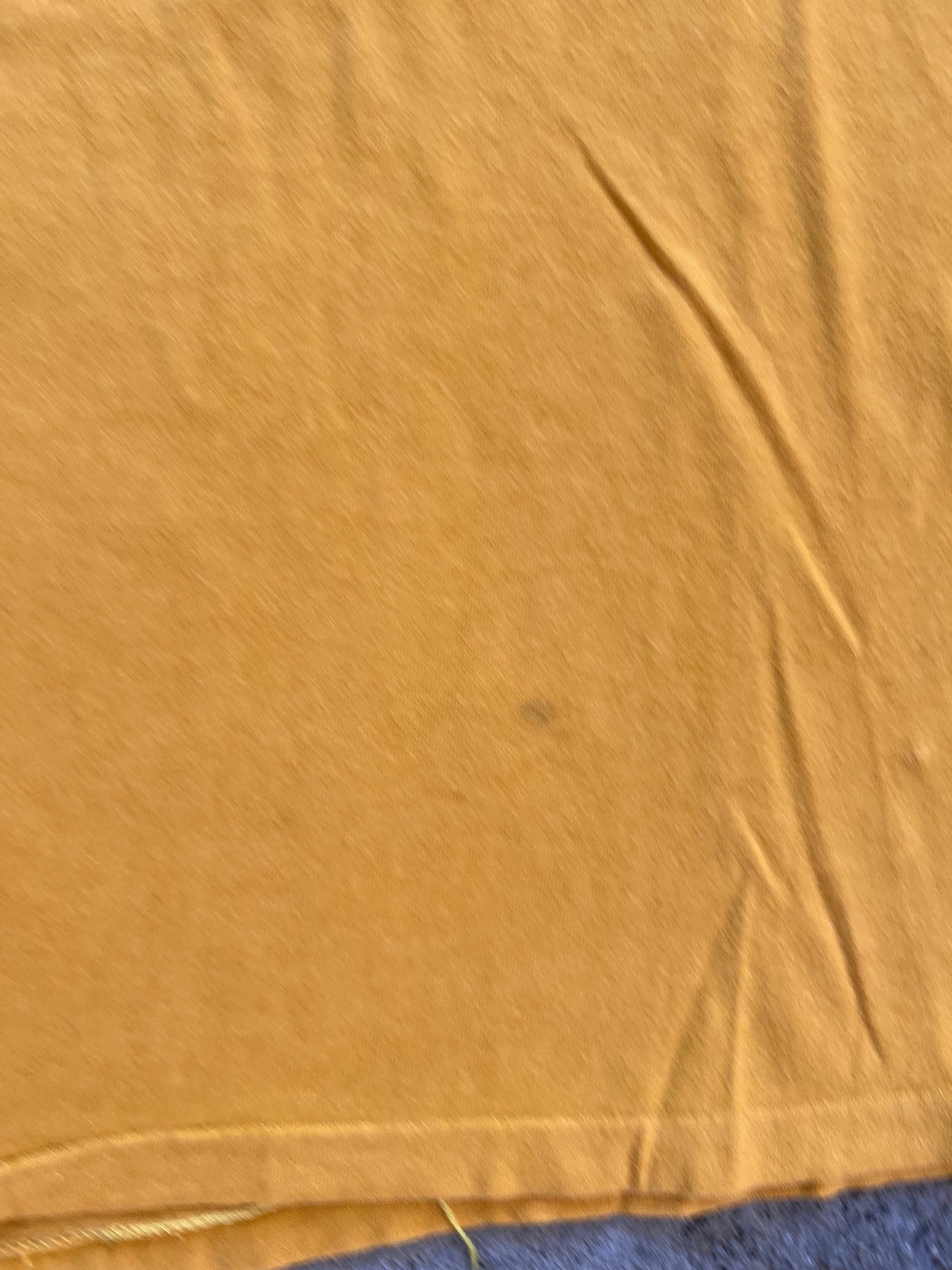 1970s Champion Pitt Panther Country Shirt Medium