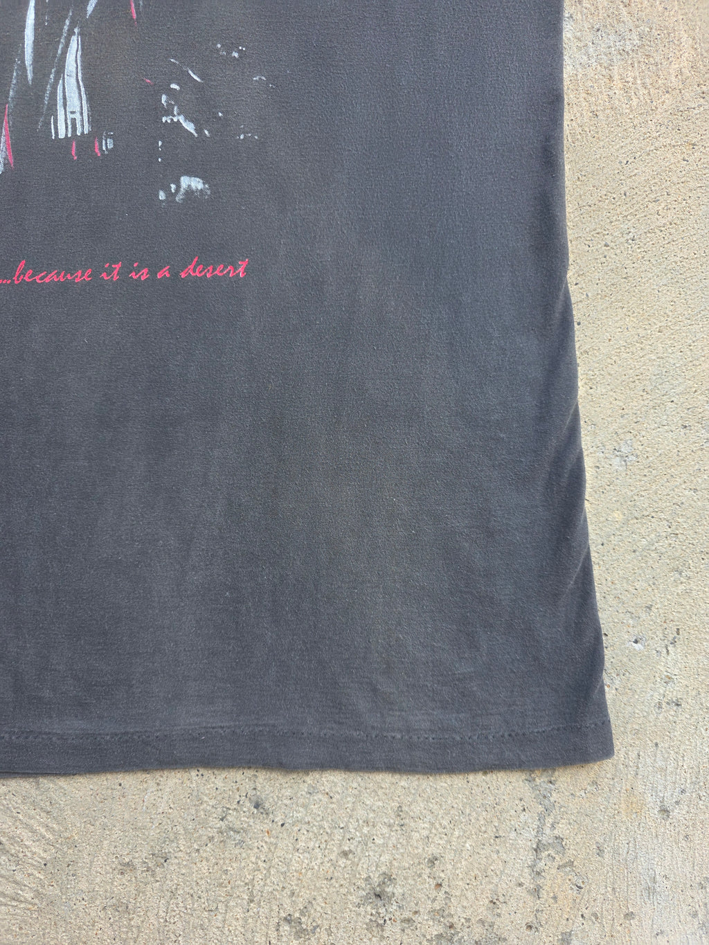 1990 Rickie Lee Jones "Because it is a desert" Shirt XL